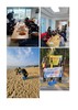 보성여성L.C 2024년 1월 봉사활동